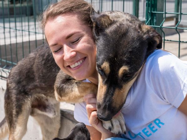 流浪狗、流浪貓救援與認養，用愛守護每個生命