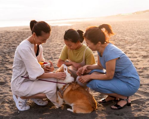 志工行動與社會關懷